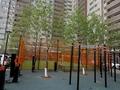 3-комнатная квартира · 80 м² · 15/17 этаж, Тауелсиздик 34/1 — Момышулы за 35 млн ₸ в Астане, Алматы р-н