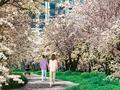 1-комнатная квартира · 40.6 м², Пр. Мангилик ел, напротив республиканской мечети за ~ 24.4 млн ₸ в Астане, Есильский р-н — фото 12