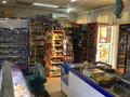 Магазины и бутики • 75 м² за 33 млн 〒 в Талдыкоргане — фото 15