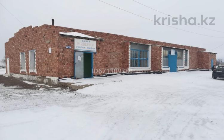 Свободное назначение · 348.5 м² за 8 млн 〒 в Жанаарка — фото 2