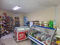 Магазины и бутики • 160 м² за 70 млн 〒 в Шымкенте, Аль-Фарабийский р-н — фото 3