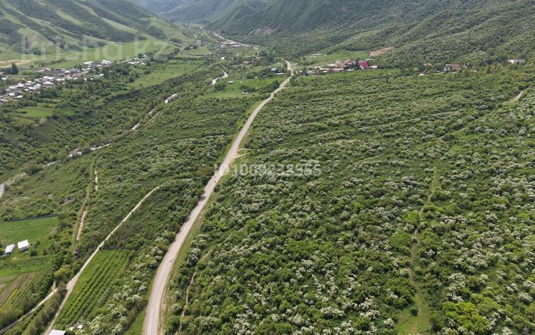 Участок · 7.5 га, Турген за 290 млн ₸ — фото 16