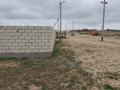 Участок · 40 соток, Саина Шапагатова за 4.5 млн ₸ — фото 5
