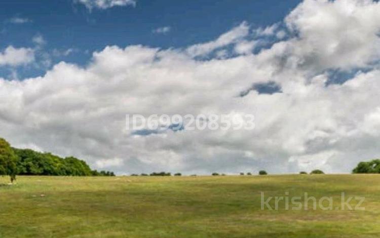 Участок · 427 га, 1 за ~ 21.8 млн 〒 в Алтынсарино (Камыстинский район) — фото 3