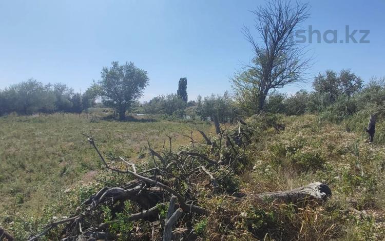 Участок · 300 соток, ул Косыбаева 8 б за 35 млн ₸ в Таскала — фото 2