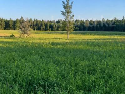 Жер телімі · 10 сотық, Щербаково, бағасы: 5.5 млн ₸ в Костанайской обл.