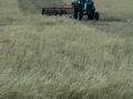 Крестьянское хозяйство по разведению лошадей, коров, баранов · 100000 м² за 295 млн ₸ в Жанаарка — фото 2