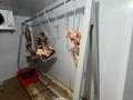 Мясной магазин · 92 м² за 9.5 млн ₸ в Астане, Есильский р-н — фото 16