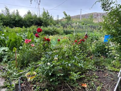 Дача · 2 комнаты · 10 м² · 12 сот., Мичуринец — Пионер лагеря за 1.8 млн 〒 в Темиртау