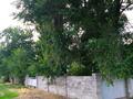 Жеке үй · 4 бөлме · 50 м² · 30 жүзд., Кунаева 83, бағасы: 27.5 млн ₸ в  — фото 2