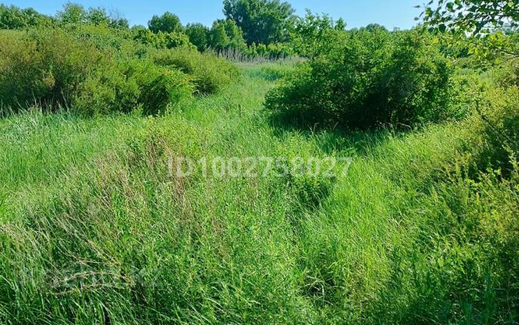 Жер телімі · 10 сотық, Пойск-2 88, бағасы: 1.5 млн ₸ в Акжар — фото 2