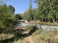 Жер телімі · 20 га, Қаскелең, бағасы: 80 млн ₸ в Каскелене — фото 18