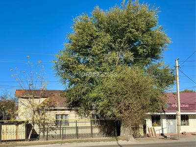 Отдельный дом · 5 комнат · 115.5 м² · 4.56 сот., Бекмаханова 32А за 85 млн ₸ в Алматы, Турксибский р-н