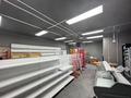 Свободное назначение · 106 м² за 60 млн ₸ в Астане, Сарыарка р-н