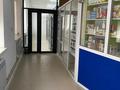 Свободное назначение · 1062 м² за 175 млн 〒 в Баскудуке — фото 11