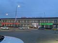 Свободное назначение · 1062 м² за 175 млн 〒 в Баскудуке — фото 15