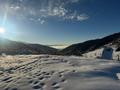 Участок · 10 соток, мкр Бутаковка за 78 млн ₸ в Алматы, Медеуский р-н — фото 12