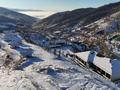 Участок · 10 соток, мкр Бутаковка за 78 млн ₸ в Алматы, Медеуский р-н — фото 13