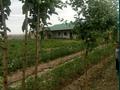 Сельское хозяйство • 22300 м² за 45 млн 〒 в Сауыншы — фото 7