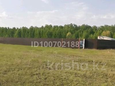 Участок · 10 соток, Ул Новая 9 а 9 а за 12 млн ₸ в Белом