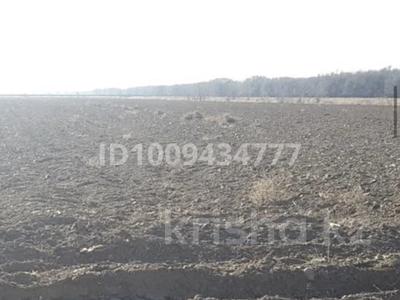Участок · 400 га, Квартал 257 — Участок 097 за 1 млн ₸ в Шенгельды