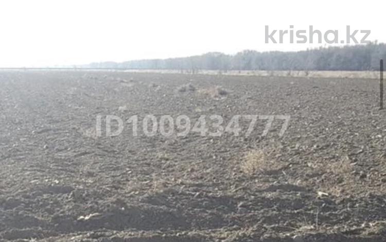 Участок · 400 га, Квартал 257 — Участок 097 за 1 млн ₸ в Шенгельды — фото 2