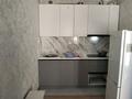 Жеке үй · 1 бөлме · 20 м² · 8 жүзд., Мәдениет ш/а. 70, бағасы: 140 000 ₸ в Алматы, Алатауский р-н — фото 14
