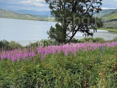 Дом · 2 комнаты · 100 м², Береговая 1 — Возле озера Маркаколь за 7 000 ₸