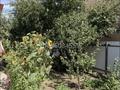Отдельный дом · 4 комнаты · 145 м² · 3 сот., Яблоневая 30 — Яблоневая Самал за 37 млн ₸ в Уральске — фото 8