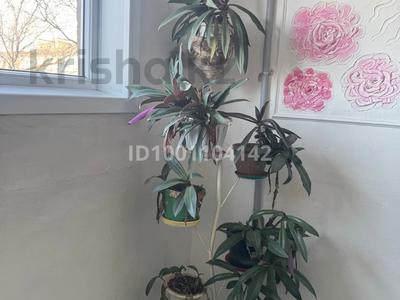 Продажа квартир в Карагандинской обл.: 1-комнатная квартира · 39 м² · 5/5 этаж, 40 лет победы 46/4 — Дом бывшее кафе чайка, стоит торцом к скифу. за 4 млн 〒 1-комнатная квартира · 39 м² · 5/5 этаж, 40 лет победы 46/4 — Дом бывшее кафе чайка, стоит торцом к скифу. за 4 млн 〒 в Шахтинске