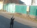 Жеке үй · 5 бөлме · 130 м² · 7.5 жүзд., Бектөбе ш/а., Проезд дальняя карасу — Целиноградская Дальняя карасу, бағасы: 20 млн ₸ в Таразе, мкр Бектобе — фото 13