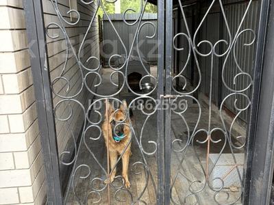 Отдельный дом · 3 комнаты · 120 м² · 6 сот., Алматинская 36 за 40 млн ₸ в Павлодаре