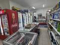 Продуктовый магазин · 71 м² за 15 млн ₸ в Астане, Нура р-н — фото 11