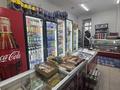 Продуктовый магазин · 71 м² за 15 млн ₸ в Астане, Нура р-н — фото 14
