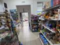 Продуктовый магазин · 71 м² за 15 млн ₸ в Астане, Нура р-н — фото 18