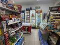 Продуктовый магазин · 71 м² за 15 млн ₸ в Астане, Нура р-н — фото 19