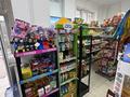 Продуктовый магазин · 71 м² за 15 млн ₸ в Астане, Нура р-н — фото 20
