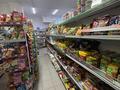 Продуктовый магазин · 71 м² за 15 млн ₸ в Астане, Нура р-н — фото 5