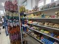 Продуктовый магазин · 71 м² за 15 млн ₸ в Астане, Нура р-н — фото 6