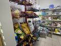 Продуктовый магазин · 71 м² за 15 млн ₸ в Астане, Нура р-н — фото 7