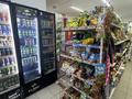 Продуктовый магазин · 71 м² за 15 млн ₸ в Астане, Нура р-н — фото 9
