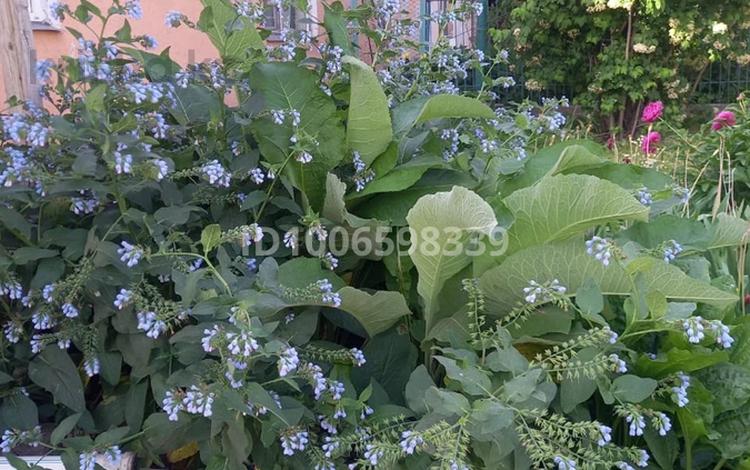Часть дома · 6 комнат · 3000 м² · 6 сот., Әмірбек ерубаев 5/1 — Абай парк рэц центр за 12 млн ₸ в Шардара — фото 2