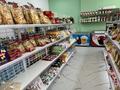 Магазины и бутики • 62 м² за 55 млн 〒 в Алматы, Наурызбайский р-н — фото 9