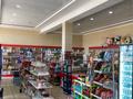 Магазины и бутики • 150 м² за 55 млн 〒 в Шымкенте, Енбекшинский р-н — фото 9
