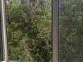 1-комнатная квартира · 29.5 м² · 4/5 этаж, Биржан сал за 14 млн ₸ в Астане, Сарыарка р-н — фото 10