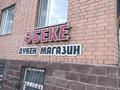 Свободное назначение · 39.7 м² за 25 млн ₸ в Акмоле — фото 11