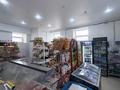 Свободное назначение · 39.7 м² за 25 млн ₸ в Акмоле — фото 13