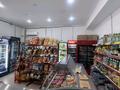 Свободное назначение · 39.7 м² за 25 млн ₸ в Акмоле — фото 5