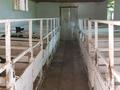 Действующий бизнес. · 2000 м², бағасы: 200 млн ₸ в  — фото 5