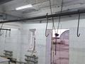 Промбаза · 75 соток, Сарыарка 88 за 120 млн ₸ в Жезказгане — фото 7